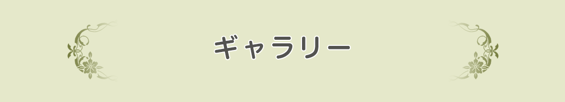 ギャラリー